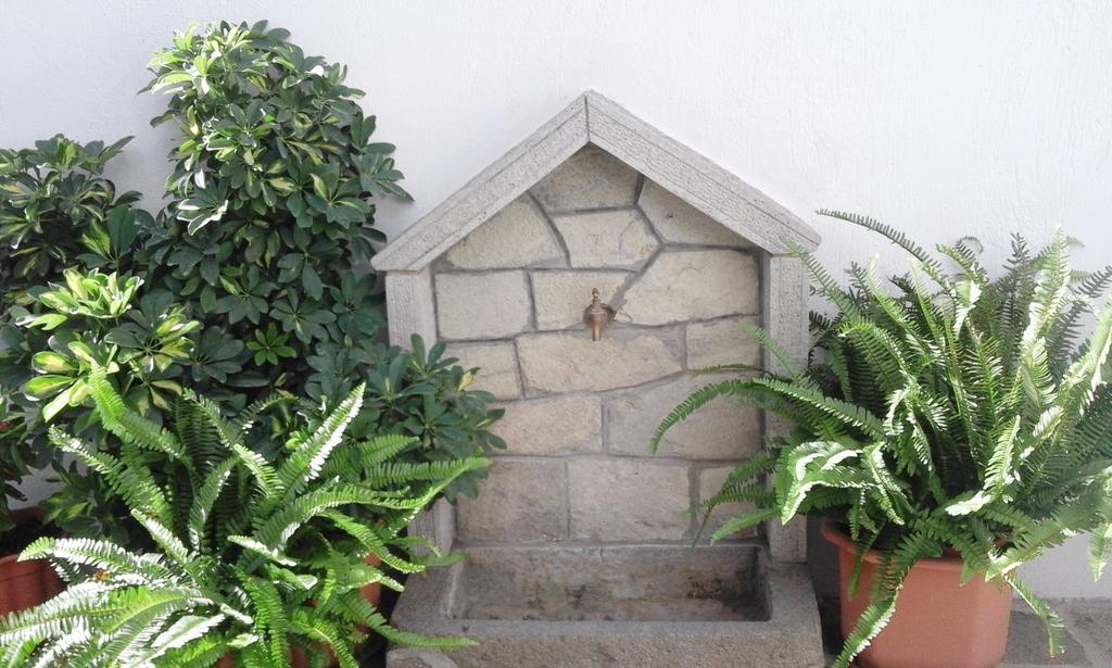סקאלה ארסו Ostria Eressos Rooms מראה חיצוני תמונה